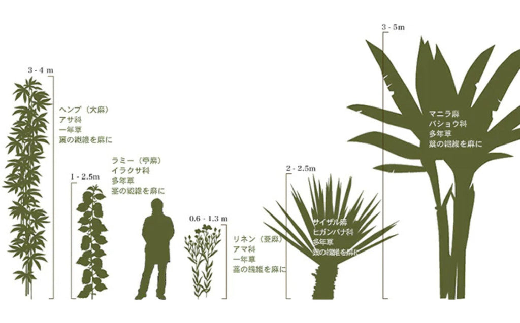 麻にはいろいろある