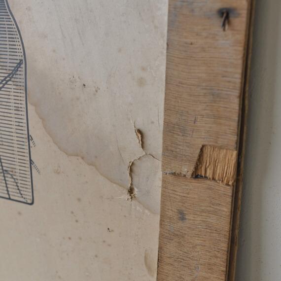 フレンチスクールポスター#B